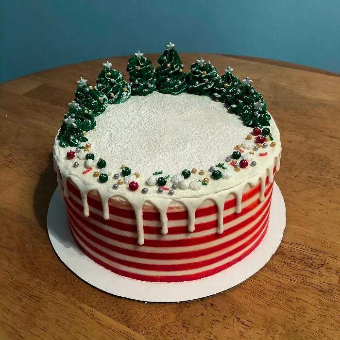 Made This Cake For My Sister-In-Law’s Christmas Party Tomorrow