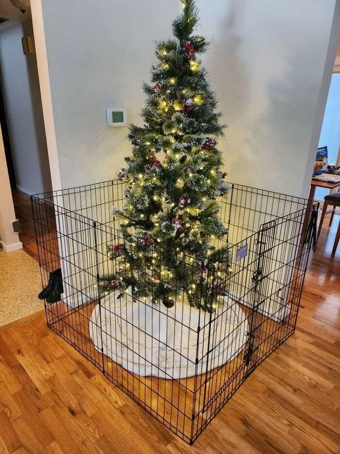 Christmas tree humorously enclosed in a pet gate, decorated with lights and ornaments, creating an amusing festive scene.
