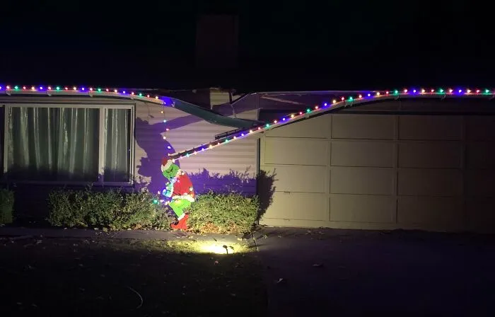A Tree Blew Over On Our House A Few Weeks Ago. Before It Gets Fixed, We Incorporated It Into Our Christmas Decorations