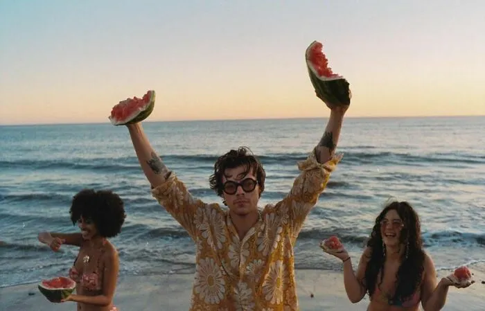 Harry Styles (28)