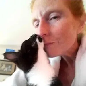Monarch cat lady
