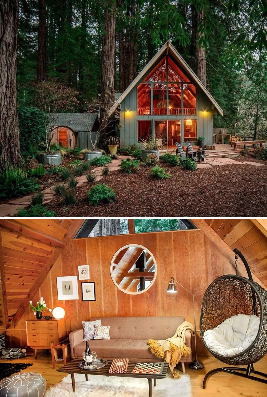 Perfect Escape Into The Woods