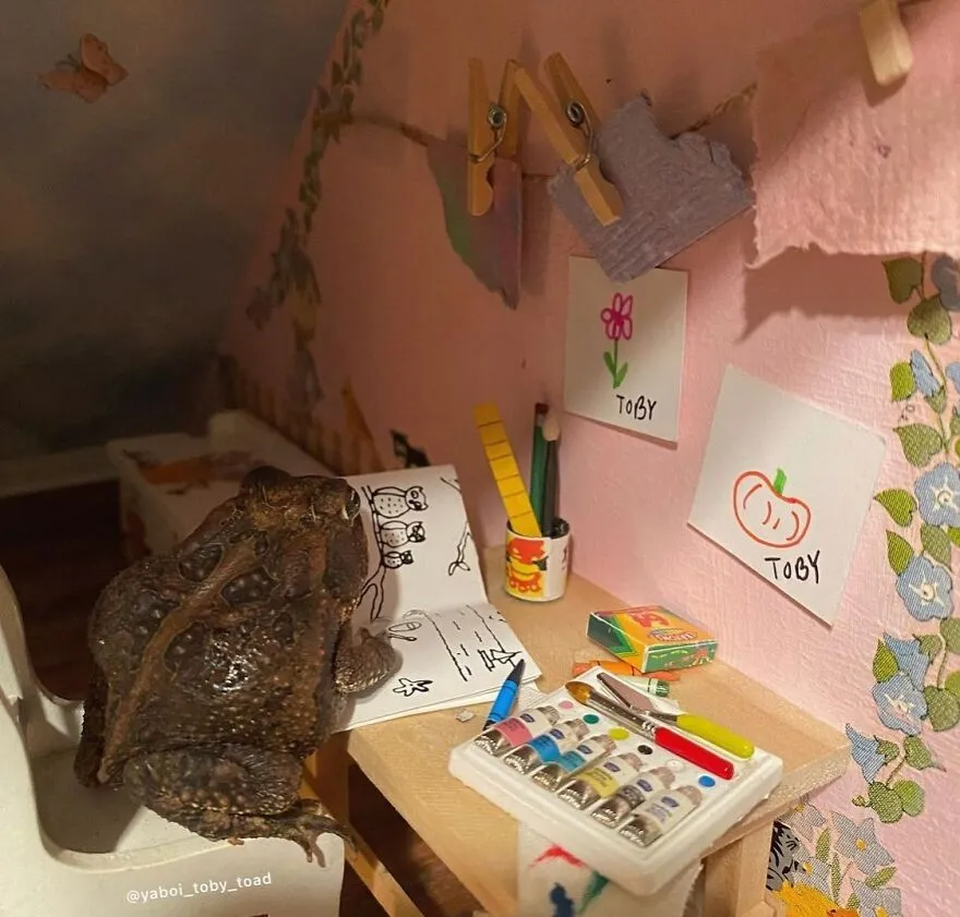 69 Pictures Of Toby The Toad Living An Old Man’s Life In This Decorated Dollhouse