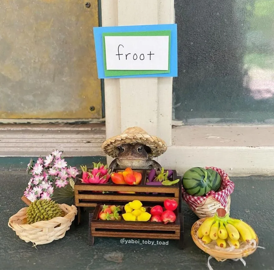 69 Pictures Of Toby The Toad Living An Old Man’s Life In This Decorated Dollhouse
