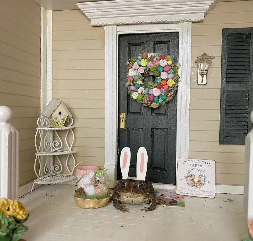 69 Pictures Of Toby The Toad Living An Old Man’s Life In This Decorated Dollhouse