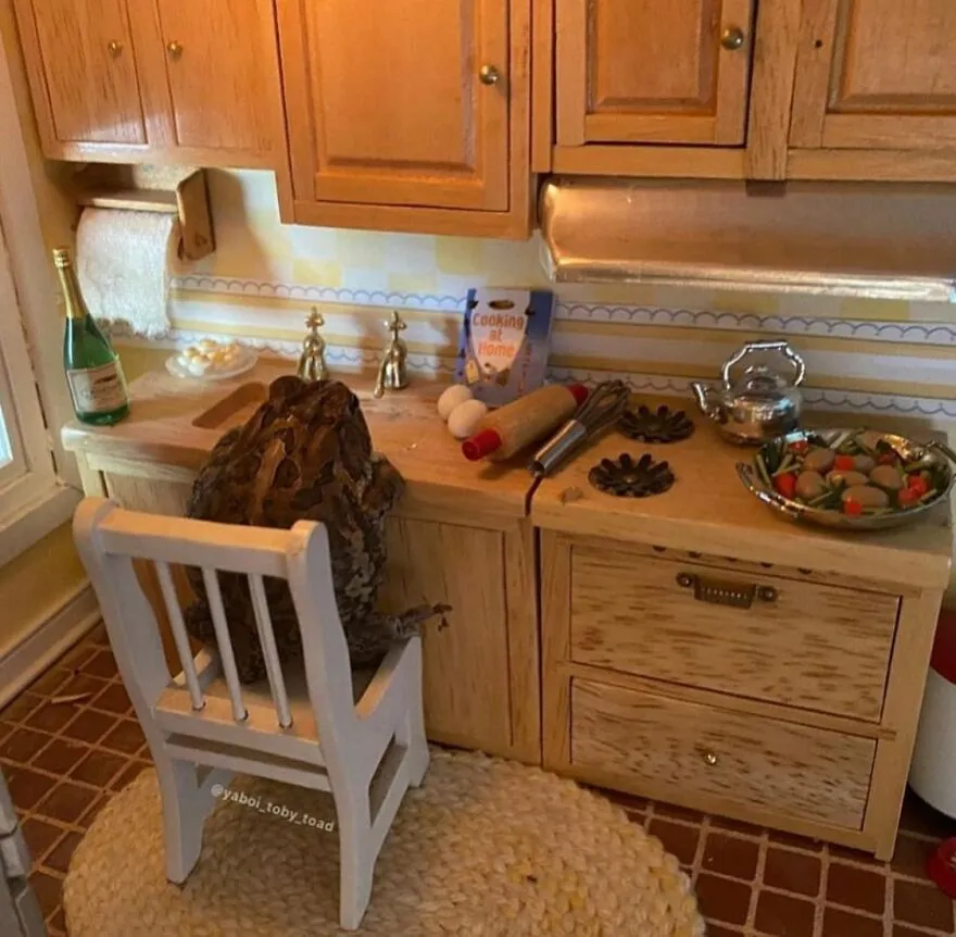 69 Pictures Of Toby The Toad Living An Old Man’s Life In This Decorated Dollhouse