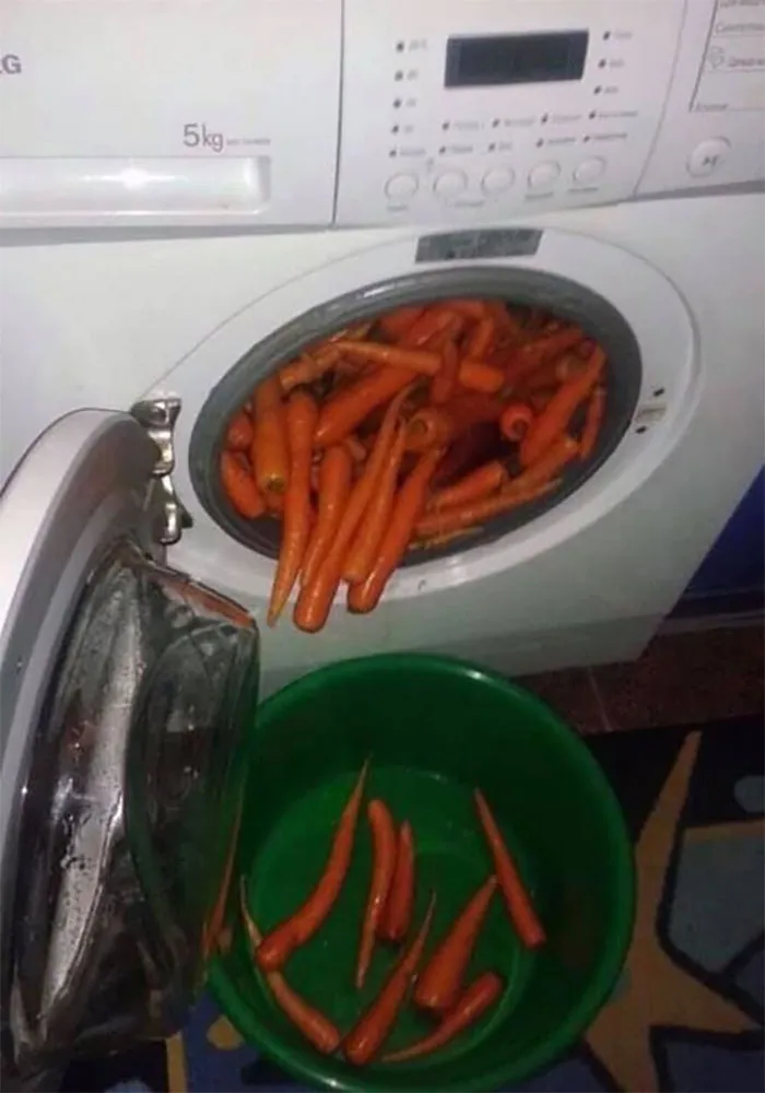 32 "Imágenes malditas" que son pura extravagancia visual