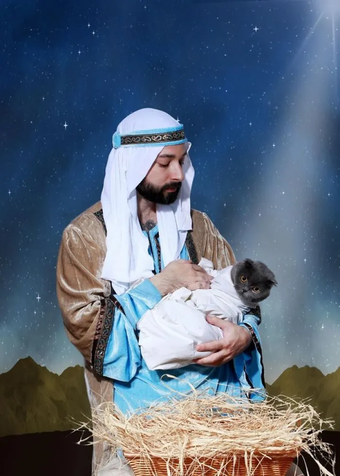 My Christmas Card With My Cat Was Deemed ‘Sacrilegious’