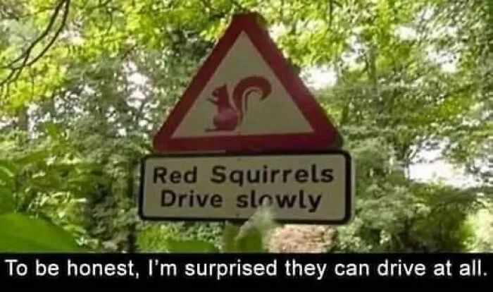50 Of The Strangest Laugh-Inducing Signs People Spotted In Public, Shared In This Online Group