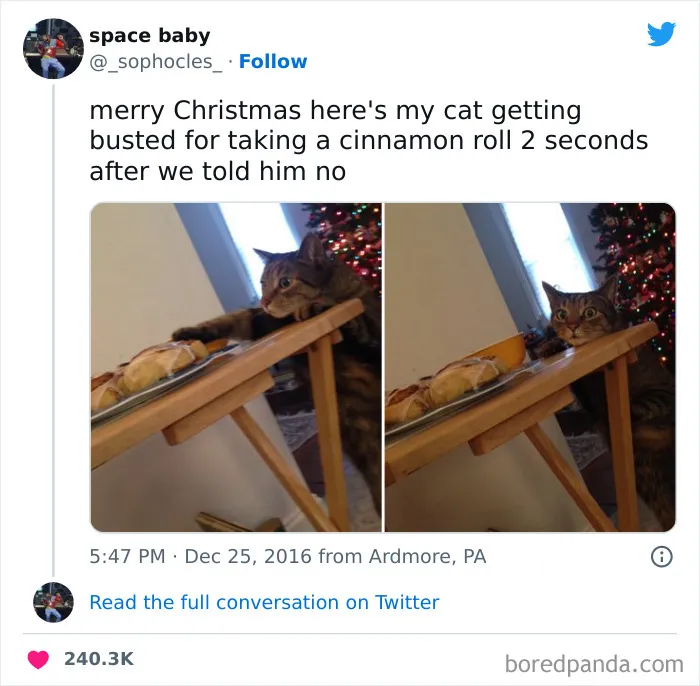 Christmas Thief