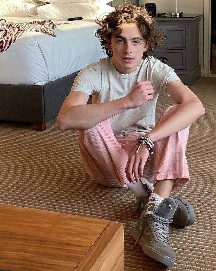 Timothée Chalamet (27)