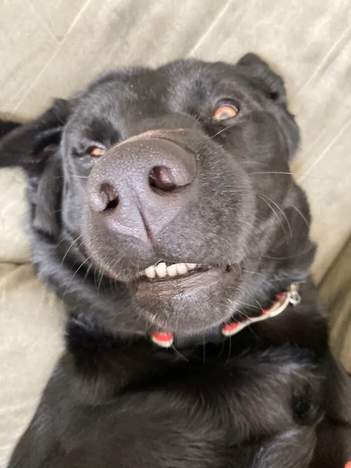 This Is Lucky Loo