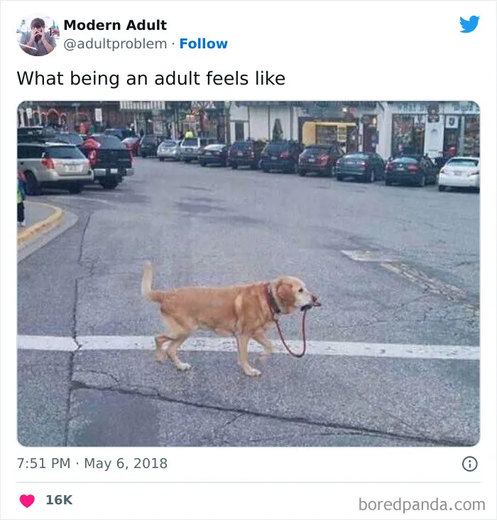 50 Painfully Funny Posts About Adulting That May Comfort You Knowing You’re Not Alone