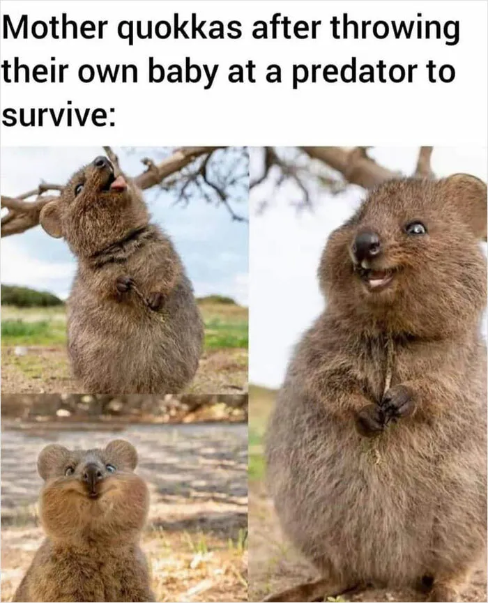 Mother Of The Year