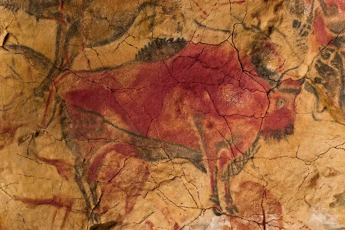 Cave Of Altamira (14,000-18,500 Years Ago)