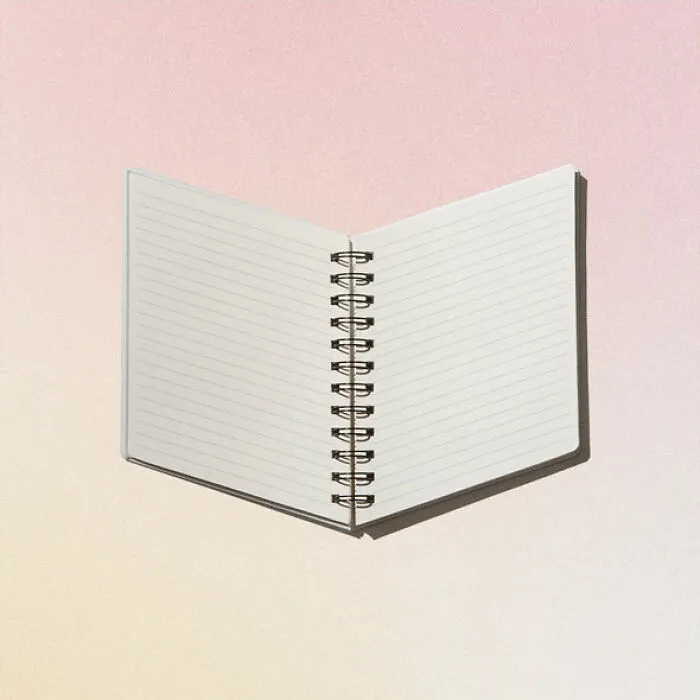 Skewed Thoughts Notebook