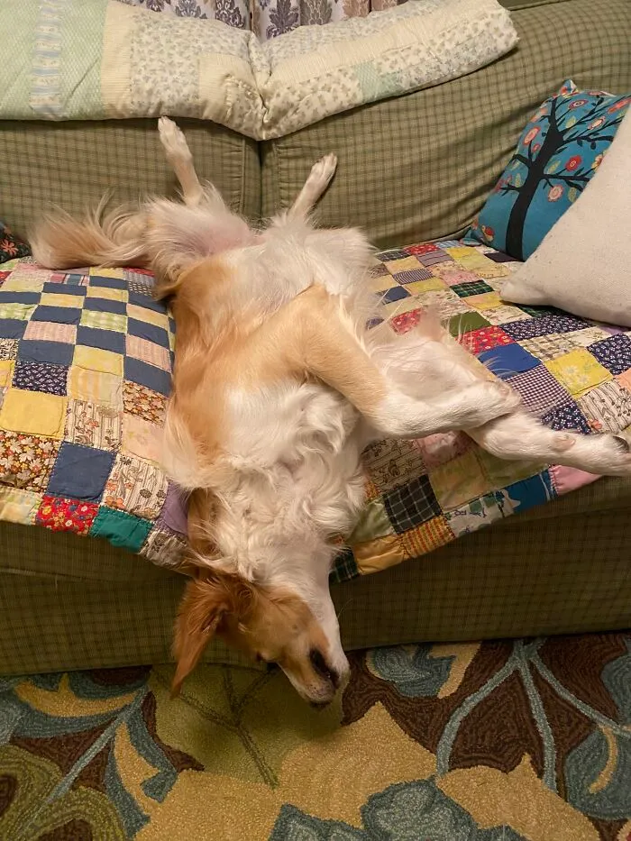 Goofy Girl