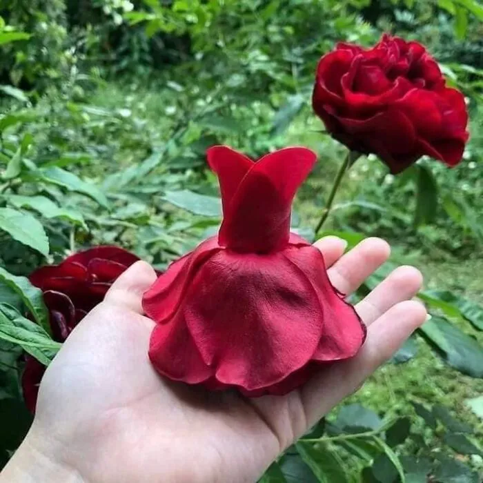 This Japanese Designer Uses Flower Petals And Leaves To Create Stunning 'Fairy Dresses' (44 Pics)