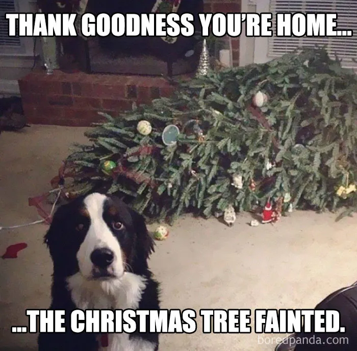 50 Ridiculously-Good Christmas Memes To Get You In A Great Festive Mood (New Pics)