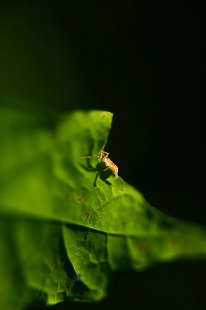 Photography For Your Coffee Break: 32 Photos That I Took