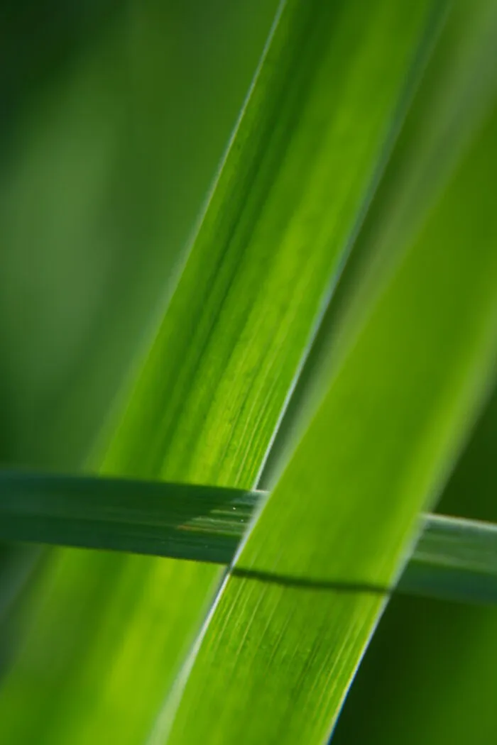 Photography For Your Coffee Break: 32 Photos That I Took