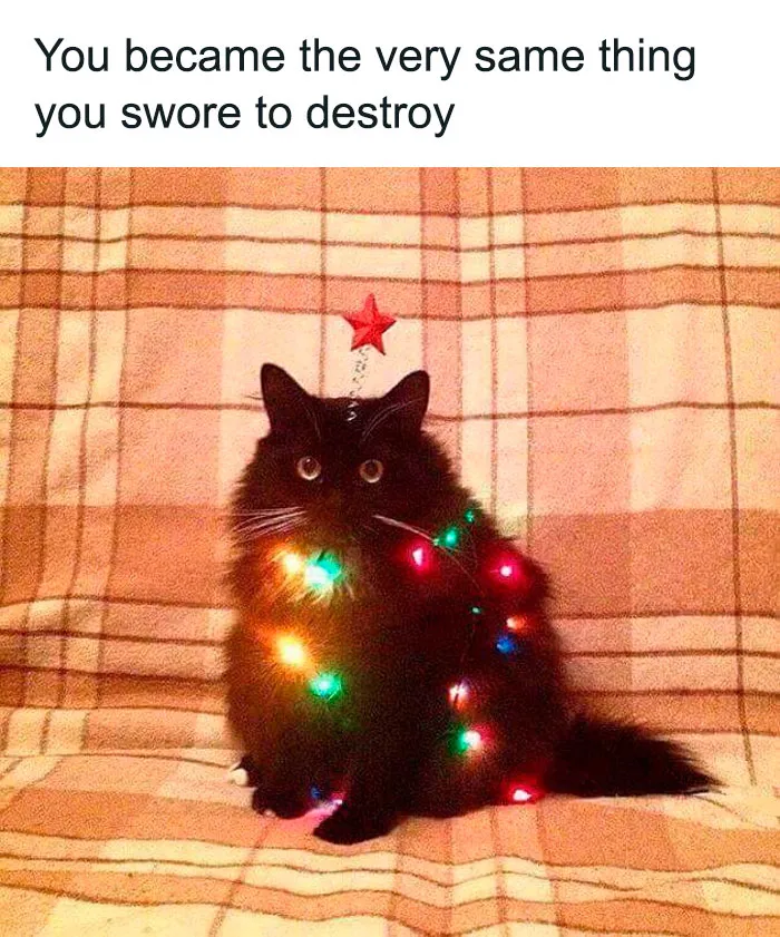 50 Ridiculously-Good Christmas Memes To Get You In A Great Festive Mood (New Pics)