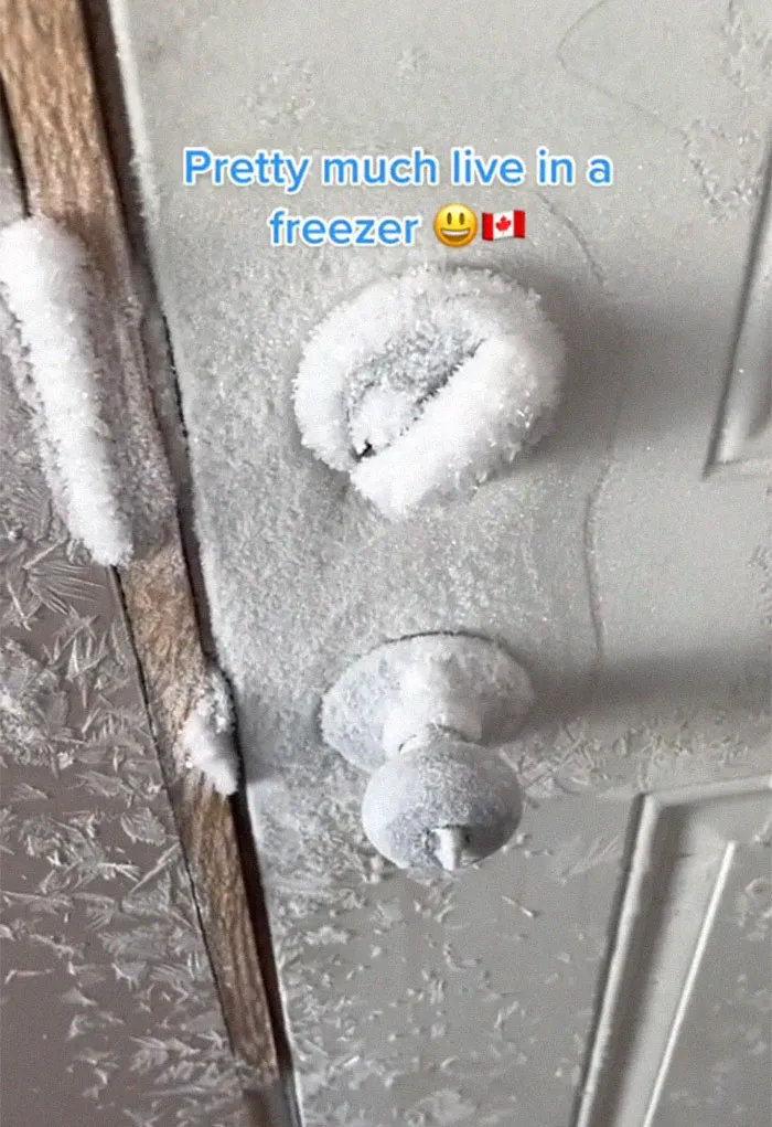 Arctic Freeze Hits North America, Causes Chaos In Many Areas (45 Pics)