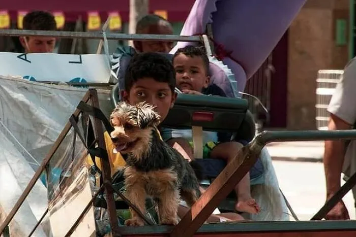 The Most Sincere Love Comes From Animals, And Here Are 60 Heartwarming Pictures Of Homeless People With Their Pets In Brazil (New Pics)