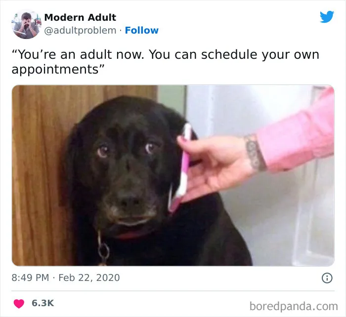 50 Painfully Funny Posts About Adulting That May Comfort You Knowing You’re Not Alone