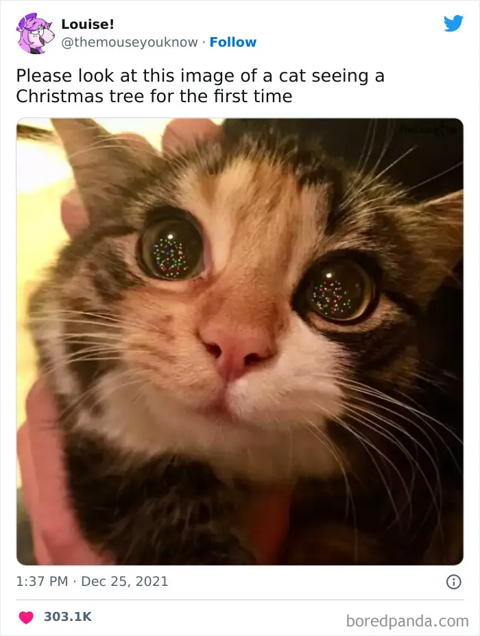Pure Joy