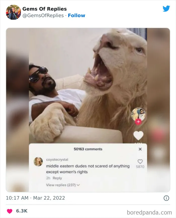 40 Of The Most Savage Comebacks To Have Ever Graced Twitter, As Shared By This Account (New Posts)