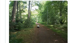50 Times People Found Something Wild And Unexpected While Strolling Through The Forest