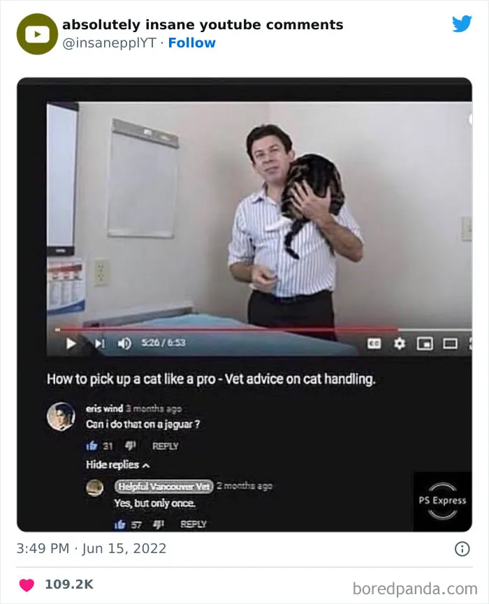 40 Times YouTube Comments Were So Good, They Got Posted On This Twitter Account (New Pics)
