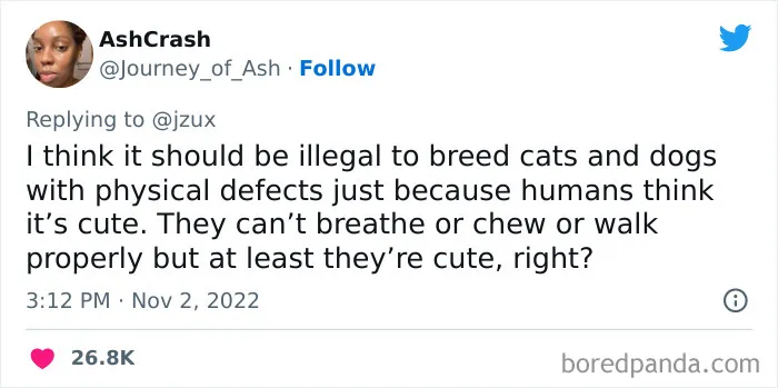 "Girls Just Pretend To Like It": 40 People Reveal What Unpopular Opinions They Have About Our Society