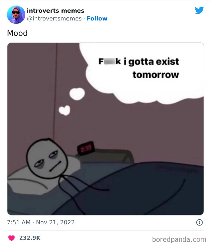 40 Funny And Relatable Introvert Memes That Are Worth Cancelling Your Plans For, As Shared On This Twitter Page