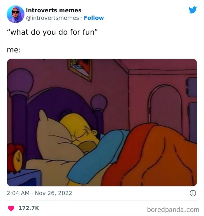 40 Funny And Relatable Introvert Memes That Are Worth Cancelling Your Plans For, As Shared On This Twitter Page