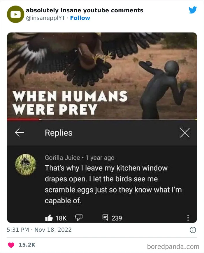 40 Times YouTube Comments Were So Good, They Got Posted On This Twitter Account (New Pics)