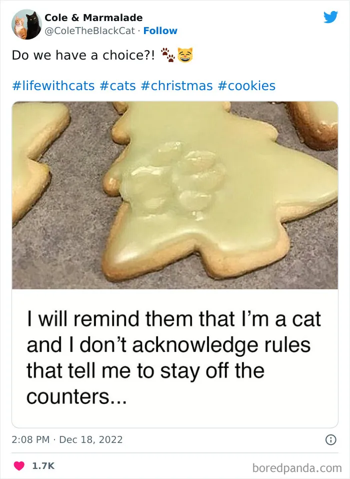 40 Of The Funniest Christmas Tweets This Year