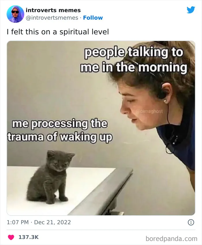 40 Funny And Relatable Introvert Memes That Are Worth Cancelling Your Plans For, As Shared On This Twitter Page