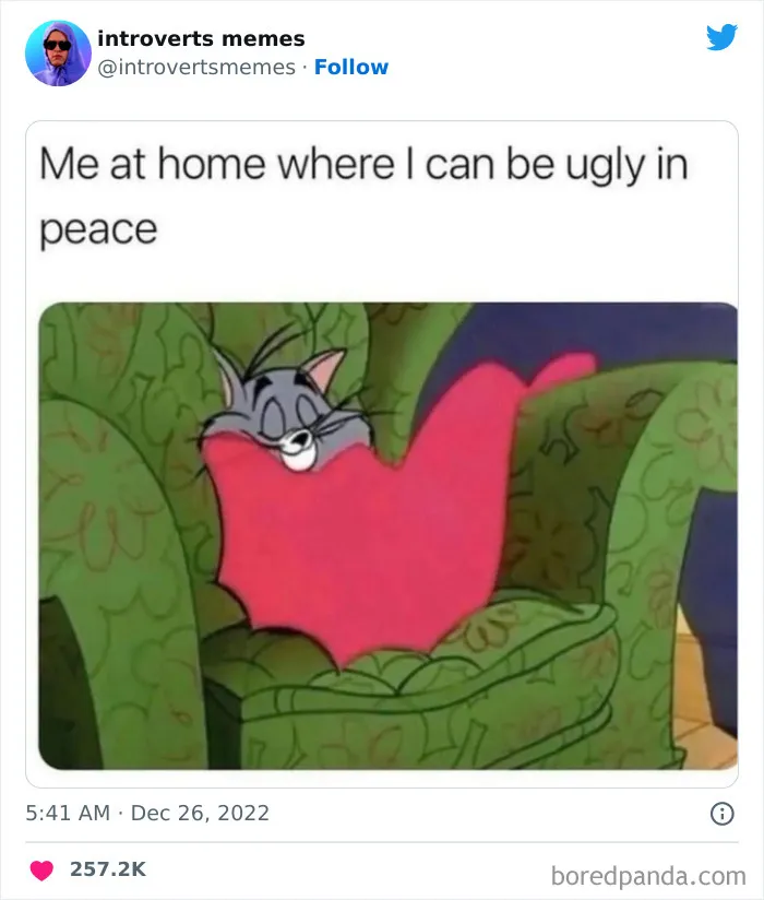 40 Funny And Relatable Introvert Memes That Are Worth Cancelling Your Plans For, As Shared On This Twitter Page