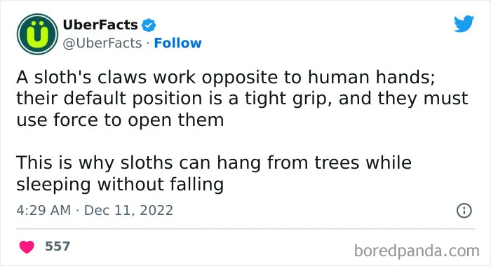172 Cool Facts From Uber Facts Twitter Account