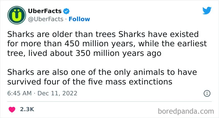 172 Cool Facts From Uber Facts Twitter Account