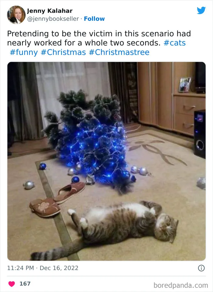 40 Of The Funniest Christmas Tweets This Year