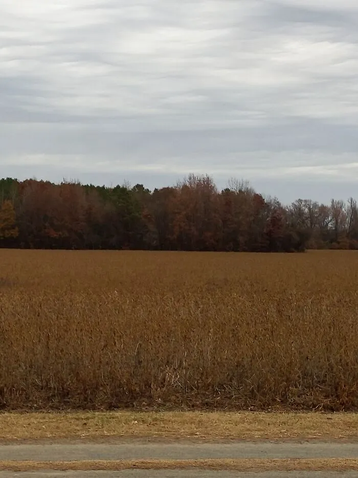 Saturday Morning In North Carolina