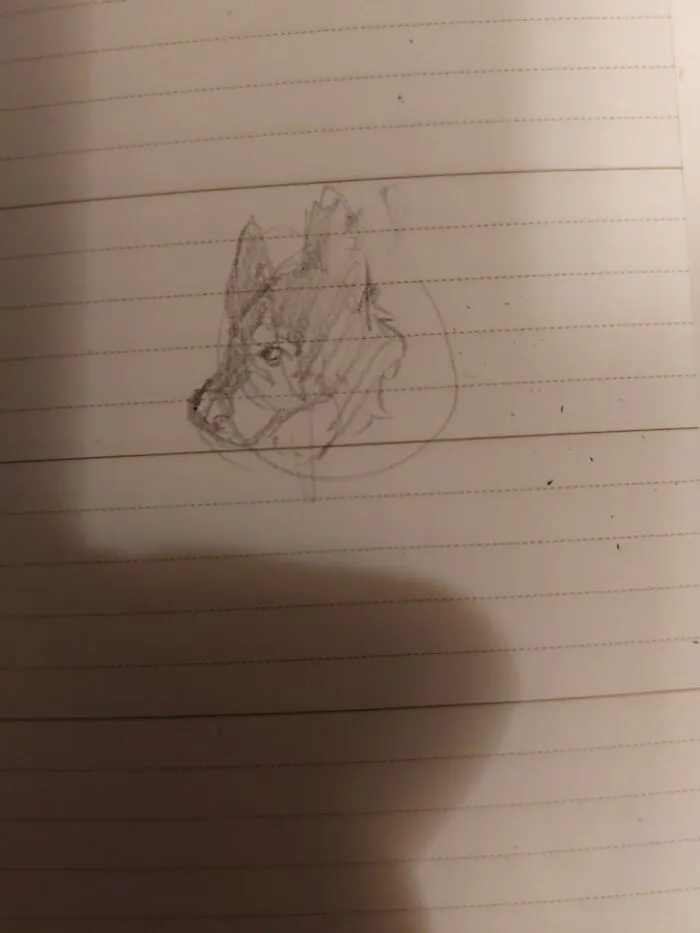 I Don't Tend To Draw Animals, But Anyways
