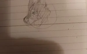 Try And Draw This Dog And Post It Here.