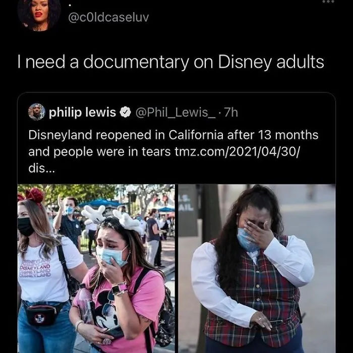 30 Posts Summing Up The Reality Of ‘Disney Adults’