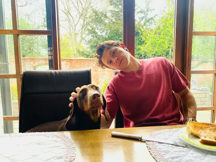 Tom Holland (26)