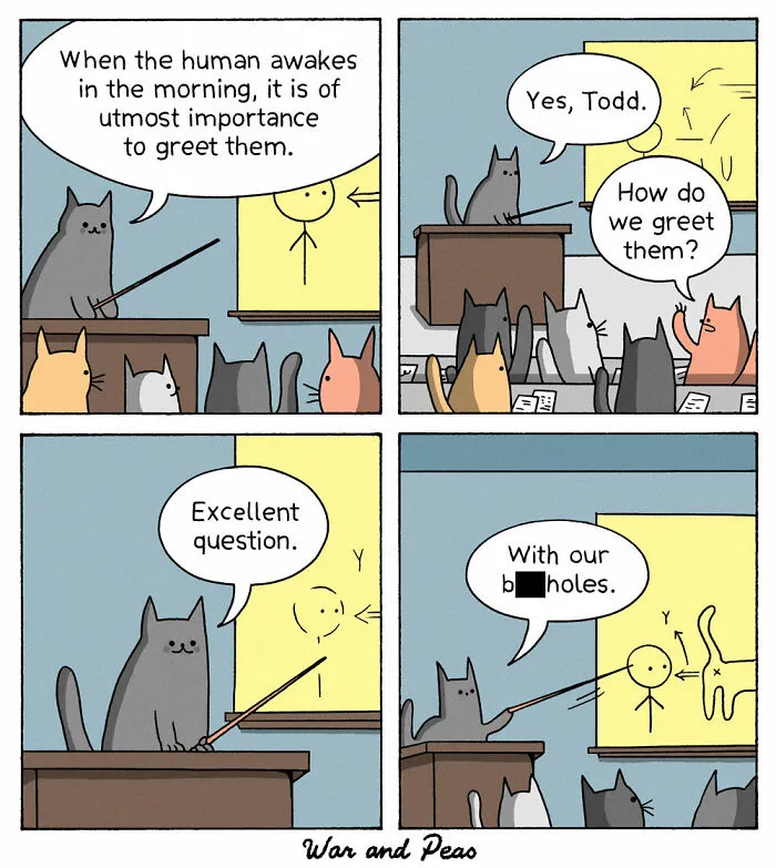 Cat Greetings 101
