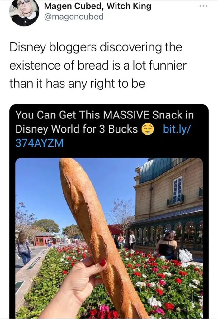 30 Posts Summing Up The Reality Of ‘Disney Adults’